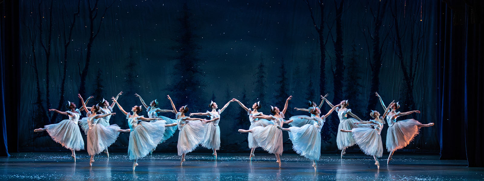 Nutcracker Banner 2026